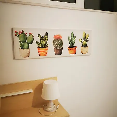 Daire Cactus