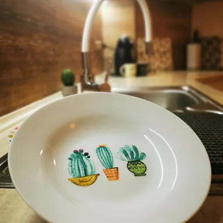 Daire Cactus Lozenets