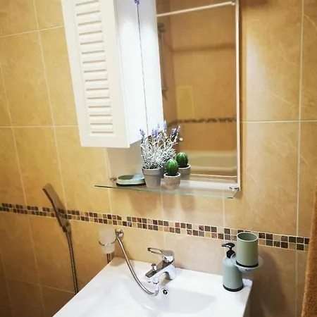 Cactus Lozenets